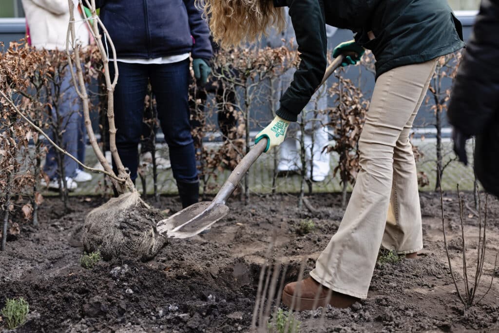 Studenten Yuverta mbo Geldermalsen ontwerpen een groen schoolterrein en planten zelf bomen