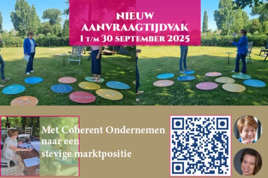 Regionale mkb’ers versterken hun marktpositie met SLIM-traject Coherent Ondernemen