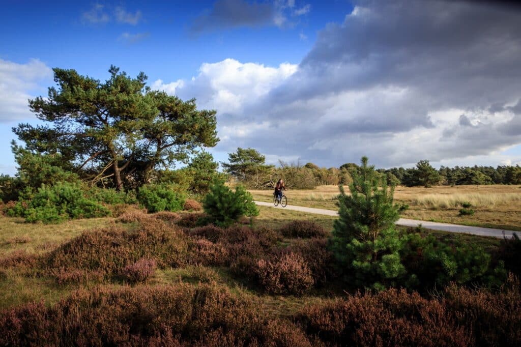 Het Nationale Park De Hoge Veluwe: waar bijeenkomsten meer ruimte krijgen