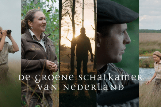 Vierdelige serie over De Hoge Veluwe te zien bij RTL 4